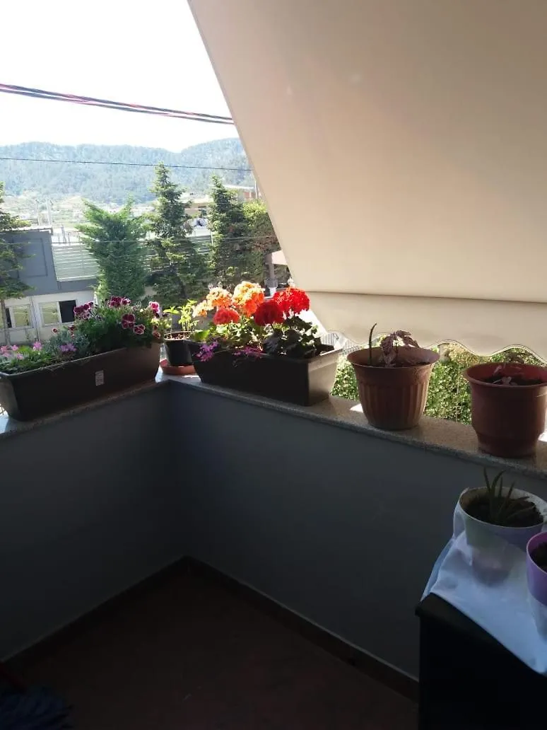 Luander Hotel Tirana 0*,